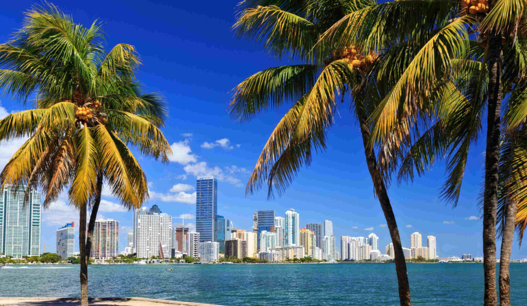 A scenic waterfront view of a South Florida city skyline under a clear blue sky, framed by lush palm trees, representing the regional service area for Broward County personal injury lawyers.